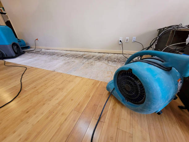 Professional Burst Pipe Water Damage technician working in Danbury, NH